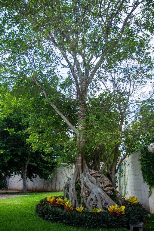 Villa San Antonio De Padua Izamal Bagian luar foto